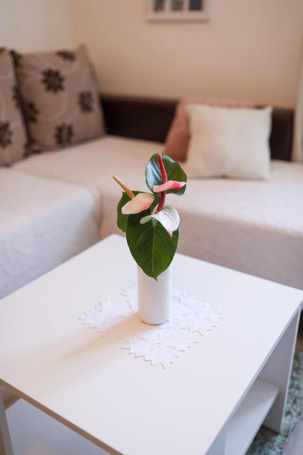 Apartment Rita Zadar Bagian luar foto